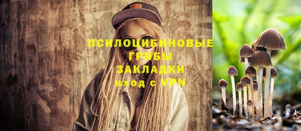 mix Алексин