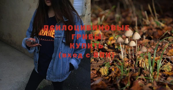mix Алексин