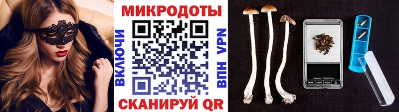 как найти закладки  Котельники  Псилоцибиновые грибы Cubensis 